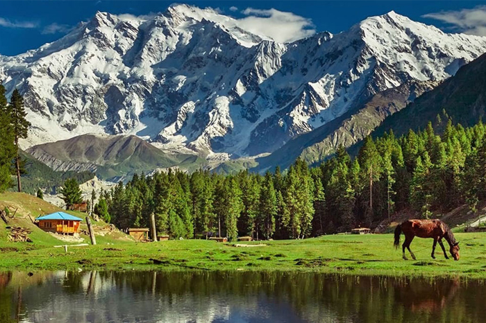 Fairy Meadows